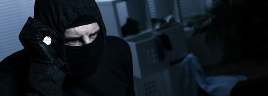 The Importance of Security Systems